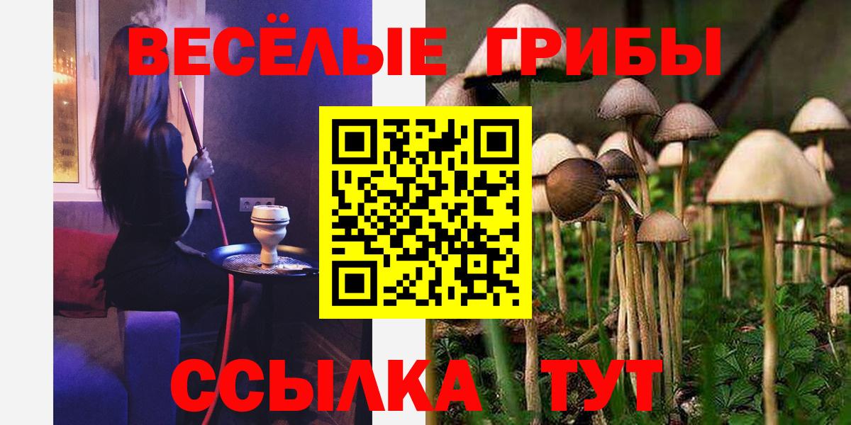 Псилоцибиновые грибы Psilocybe Липецк