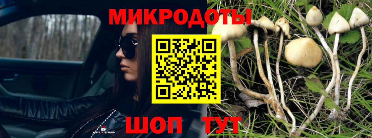 Псилоцибиновые грибы прущие грибы  Вход с VPN  Липецк  Псилоцибиновые грибы Cubensis 